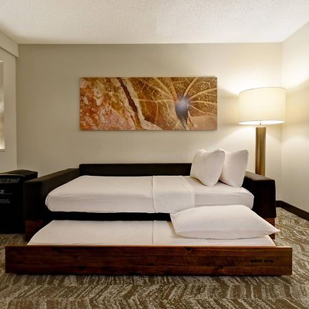 Springhill Suites By Marriott Atlanta Kennesaw Ngoại thất bức ảnh